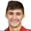 Grdenic