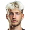 Holoubek