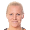 Rybrink