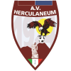 Vesuvio Ercolanese