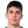 Georgiev