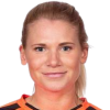 Rybrink