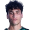 Lagonigro