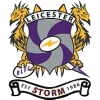 Leicester Storm