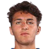 Bergonzi
