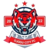 Ojodu City U19