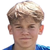 Arikas