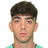 Gasperini