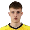Karpitski